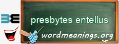 WordMeaning blackboard for presbytes entellus